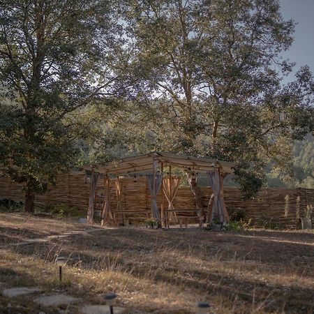 Nayalap - Rural Himalayan Glamping Hotel Shitlakhet Buitenkant foto